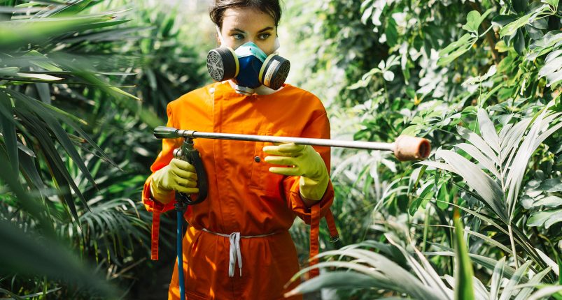 Bitki-Koruma-Ürünleri-Ruhsatı